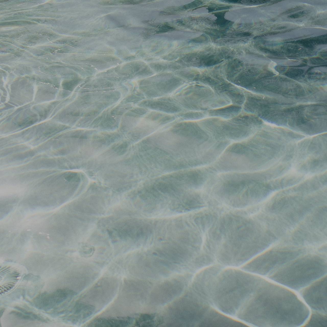 06.10.25-homepage-hero-dual-swim
