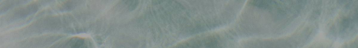 06.10.25-homepage-hero-dual-swim