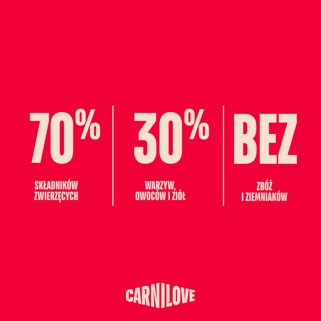 ACTIVE Adult Dog Starter Pack, pakiet startowy dla psów