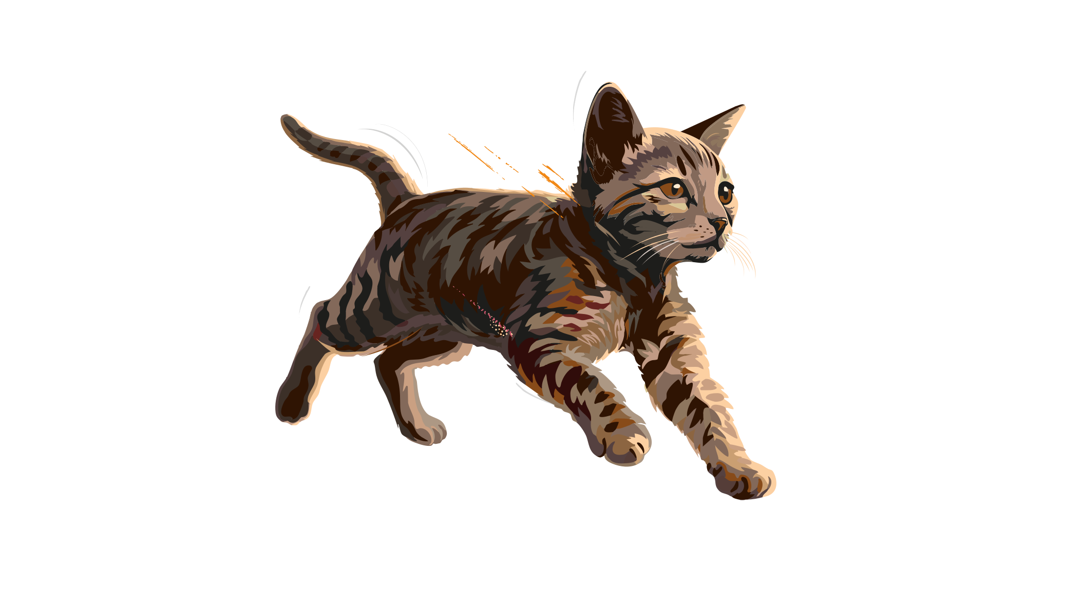 Carnilove-Illustration-Cat-Kitten-True-Fresh