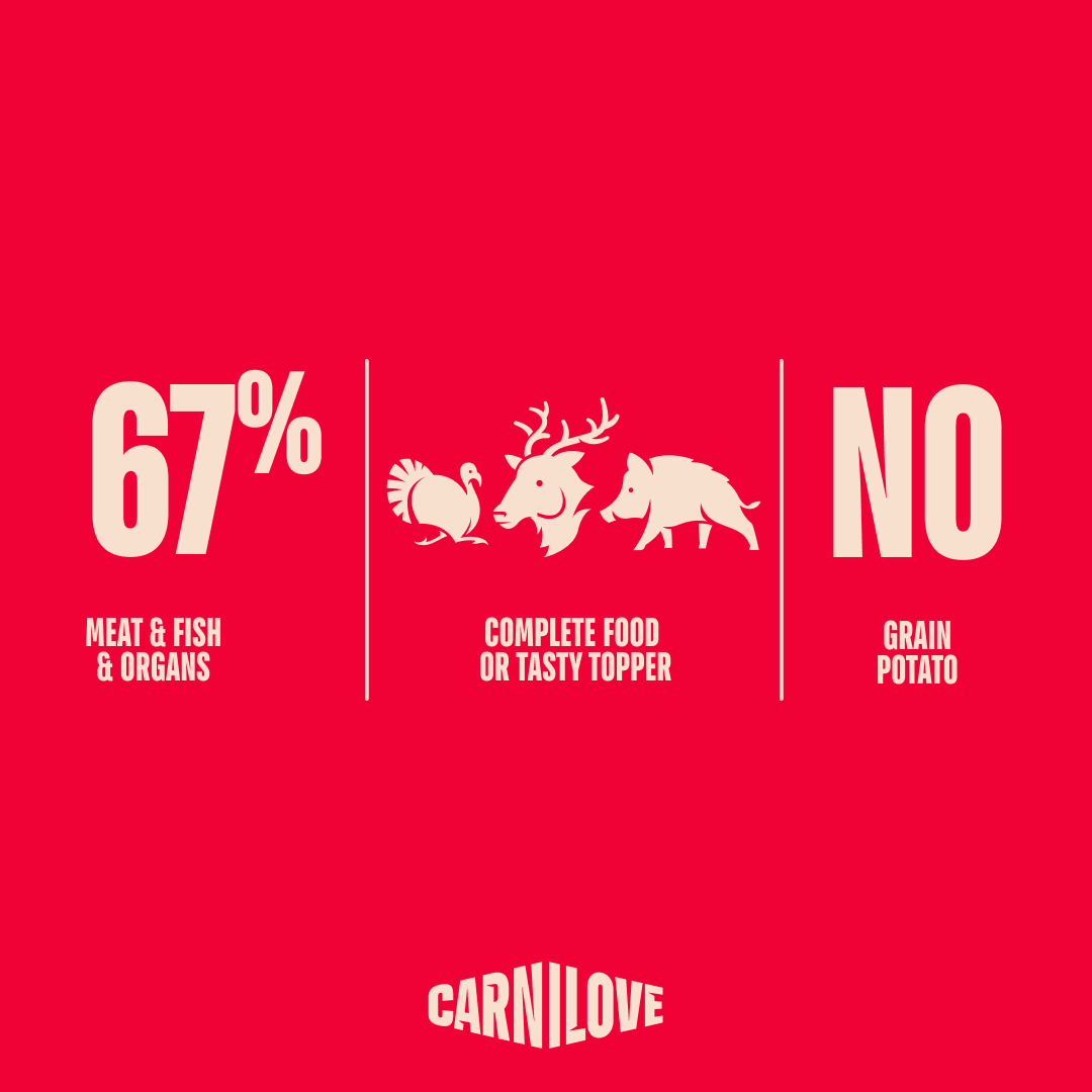 Paté CAN Food Made with Turkey & Reindeer for Dogs 400g