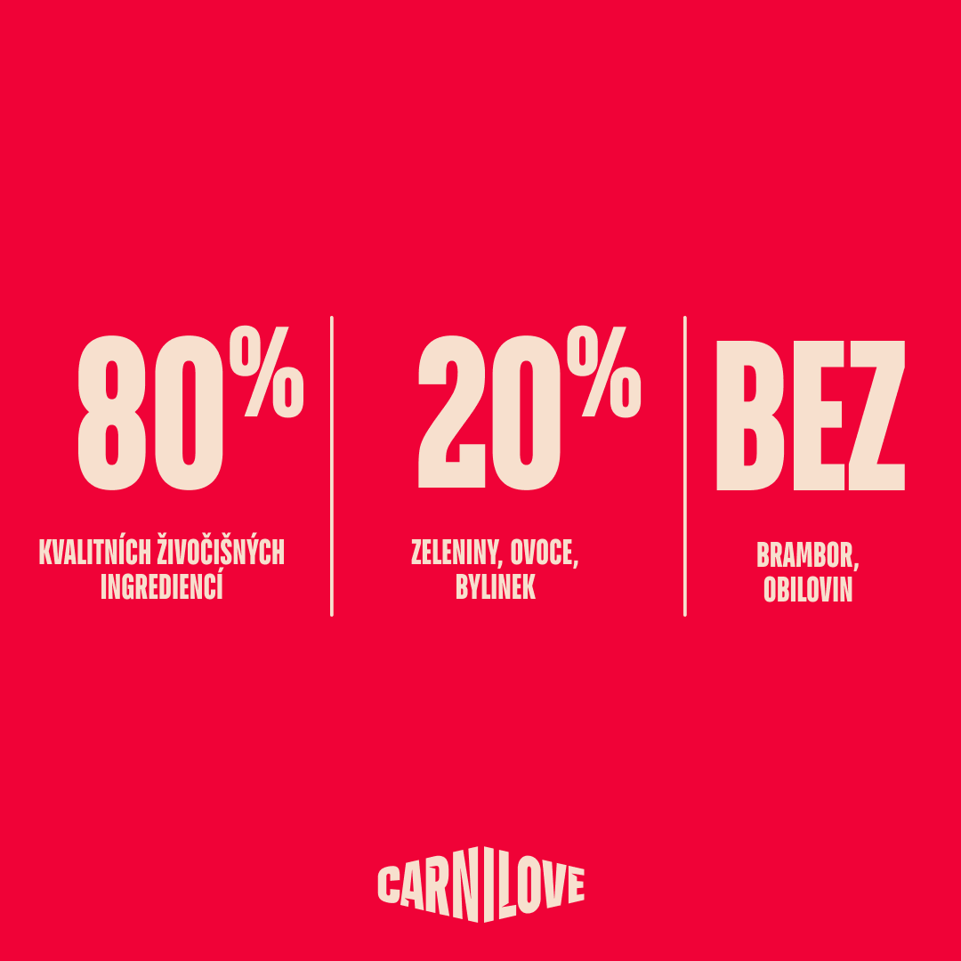 ACTIVE Kitten Starter Pack