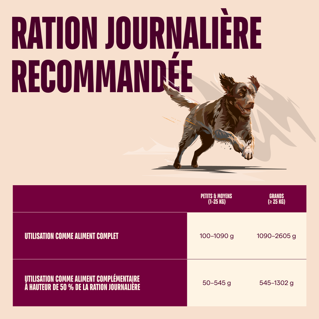 104101387 5 FR