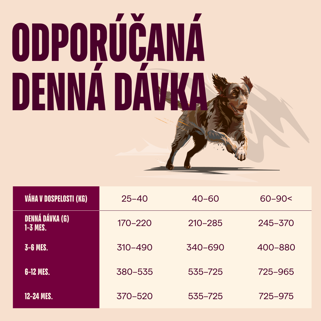 100173741 4 SK