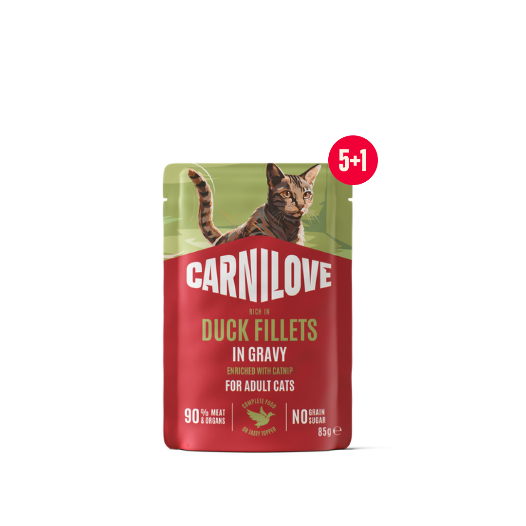 Gravy pouch Duck with Catnip for cats 5+1 pack