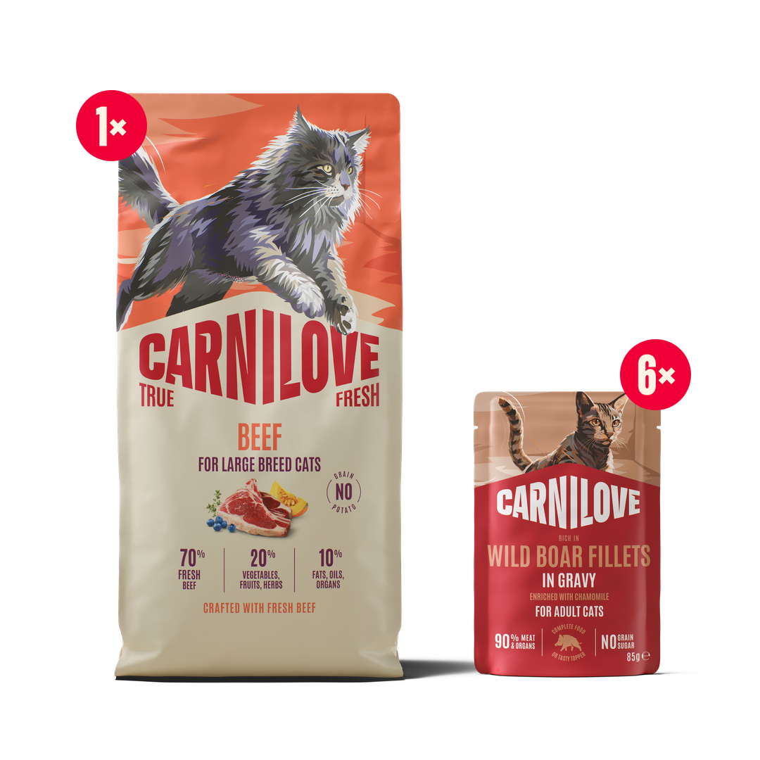 True Fresh Dry Beef for large cats pack