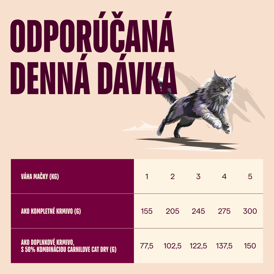 104101393 5 SK