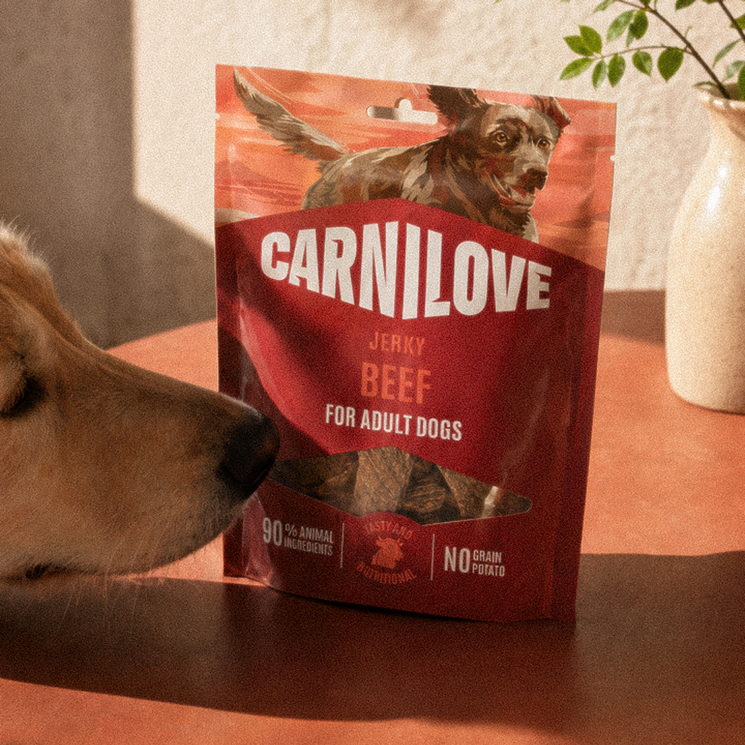Lamb & Salmon JERKY Snack for Dogs 100 g