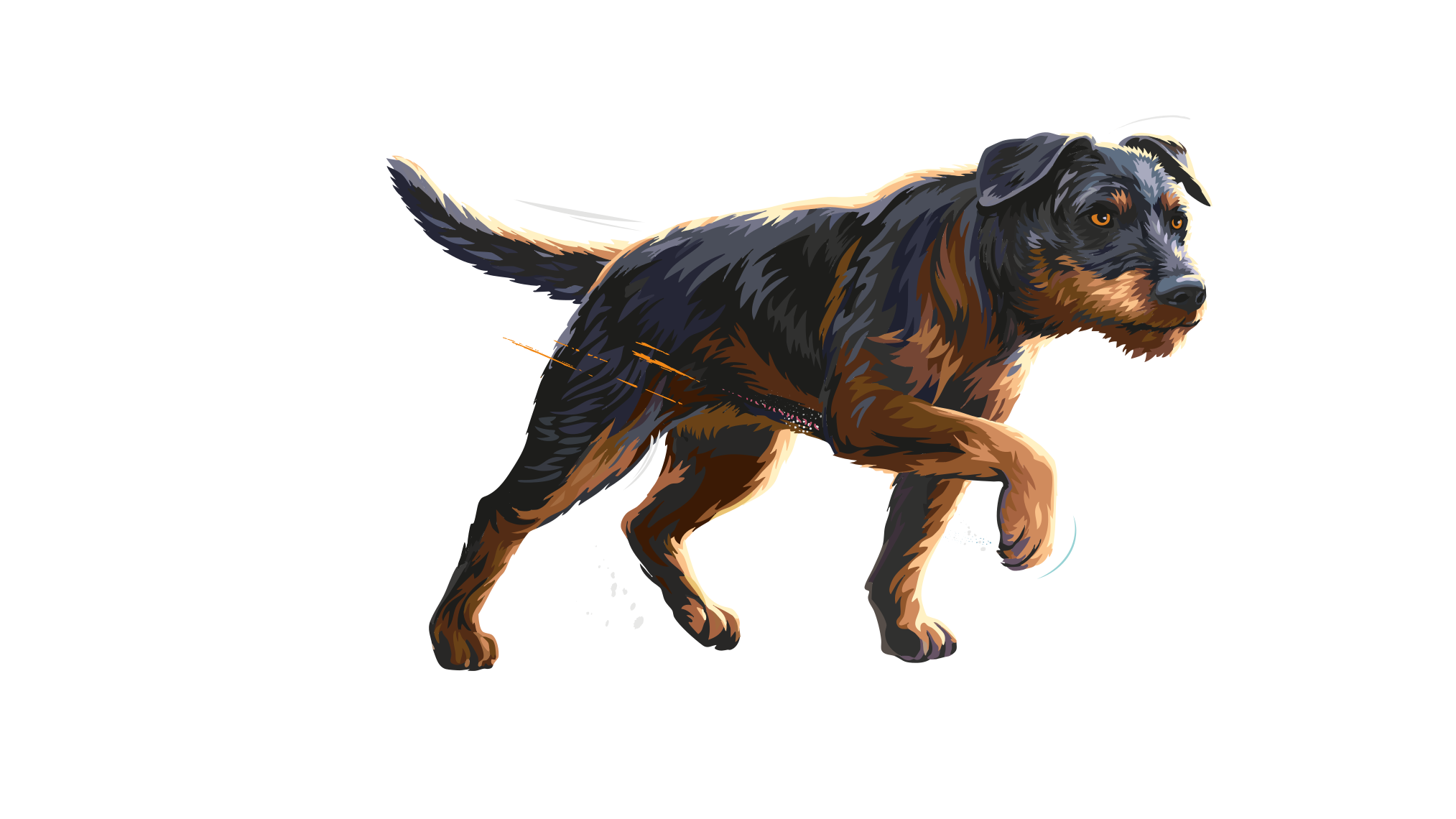 Carnilove-Illustration-Dog-Small-Adult-True-Fresh