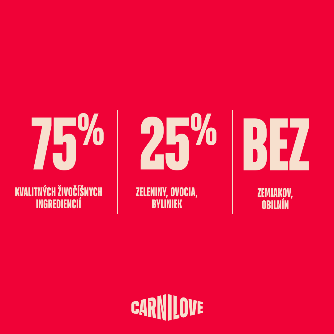 ACTIVE Adult Cat Starter Pack