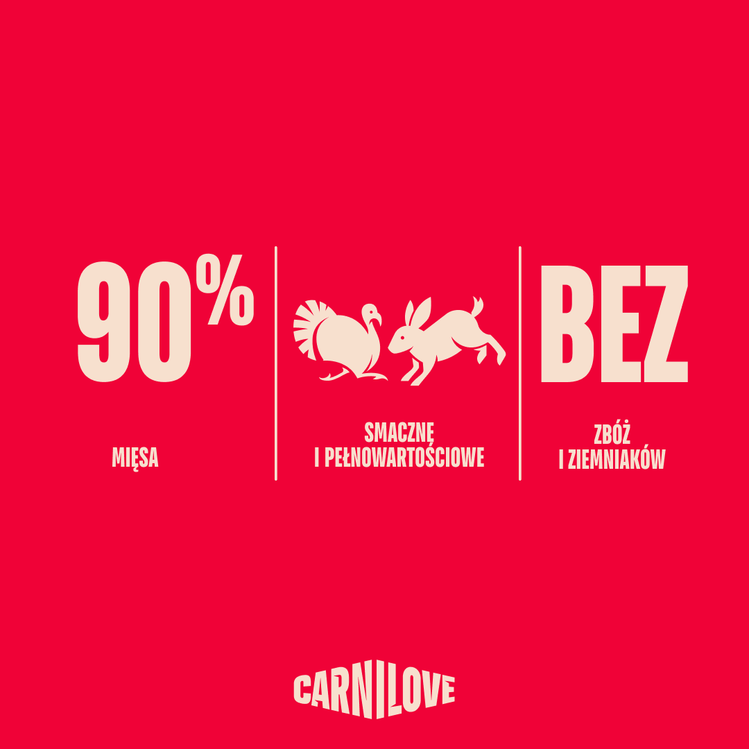 turkey rabbit/101112424 2 EN