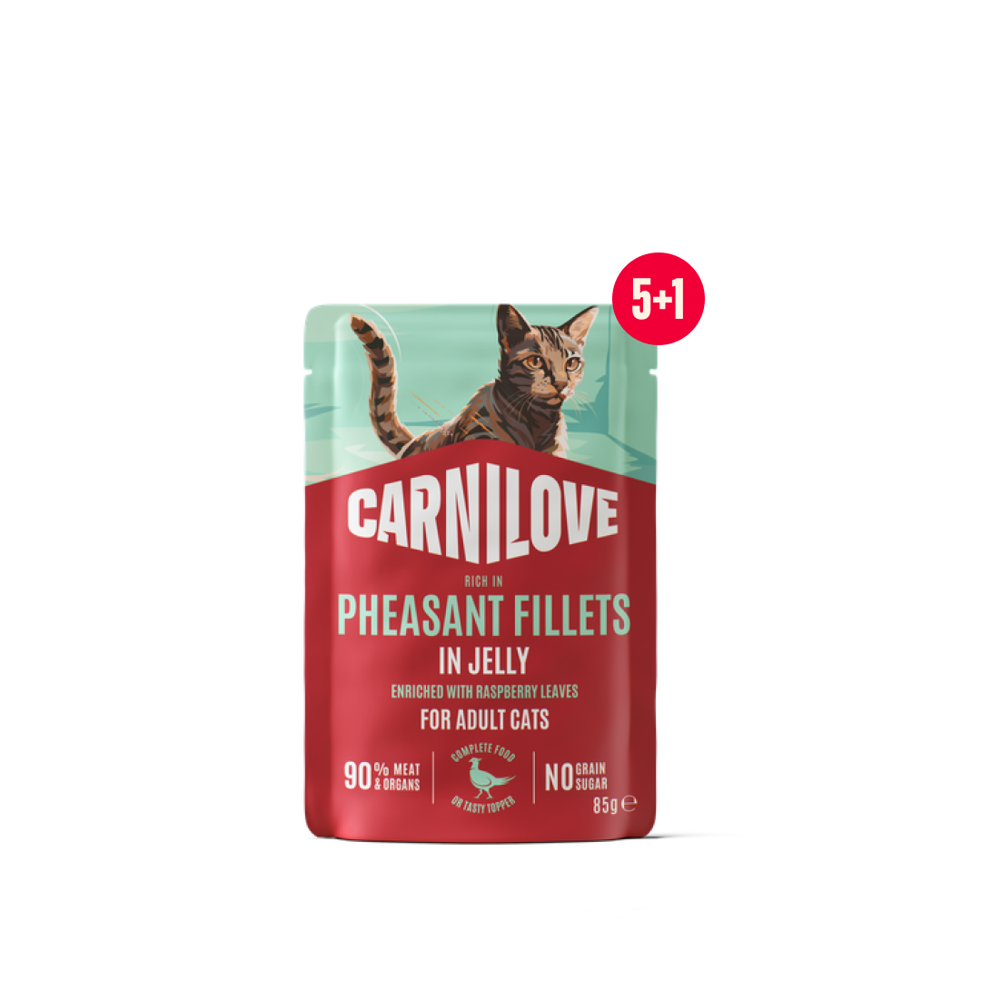 Jelly pouch Pheasant with Raspberry for cats 5+1 pack