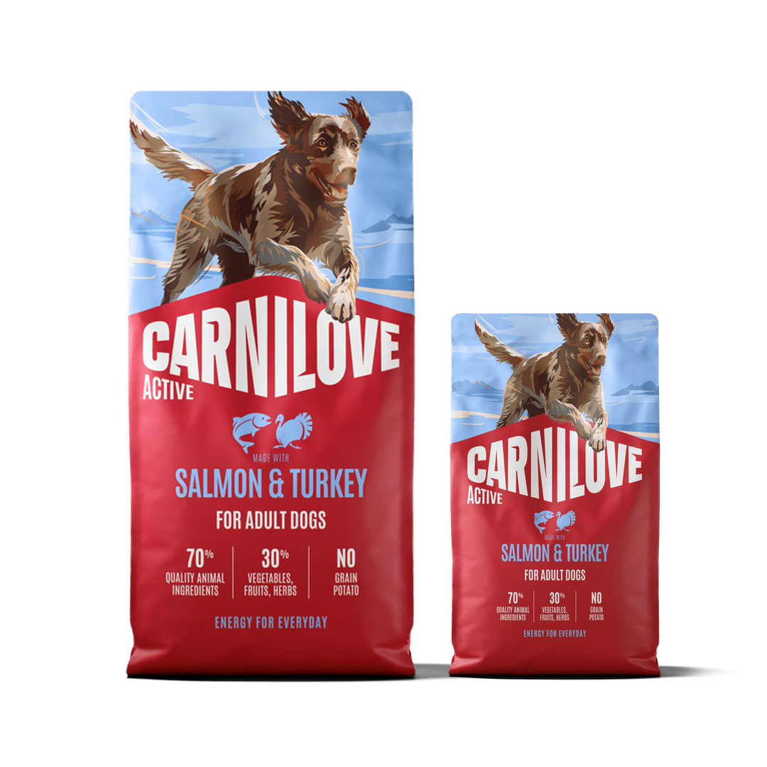 Active Dry Food Made with Salmon & Turkey for Adult Dogs Pack, Pakiet dla Dorosłych Psów