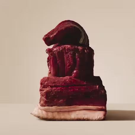 Venison