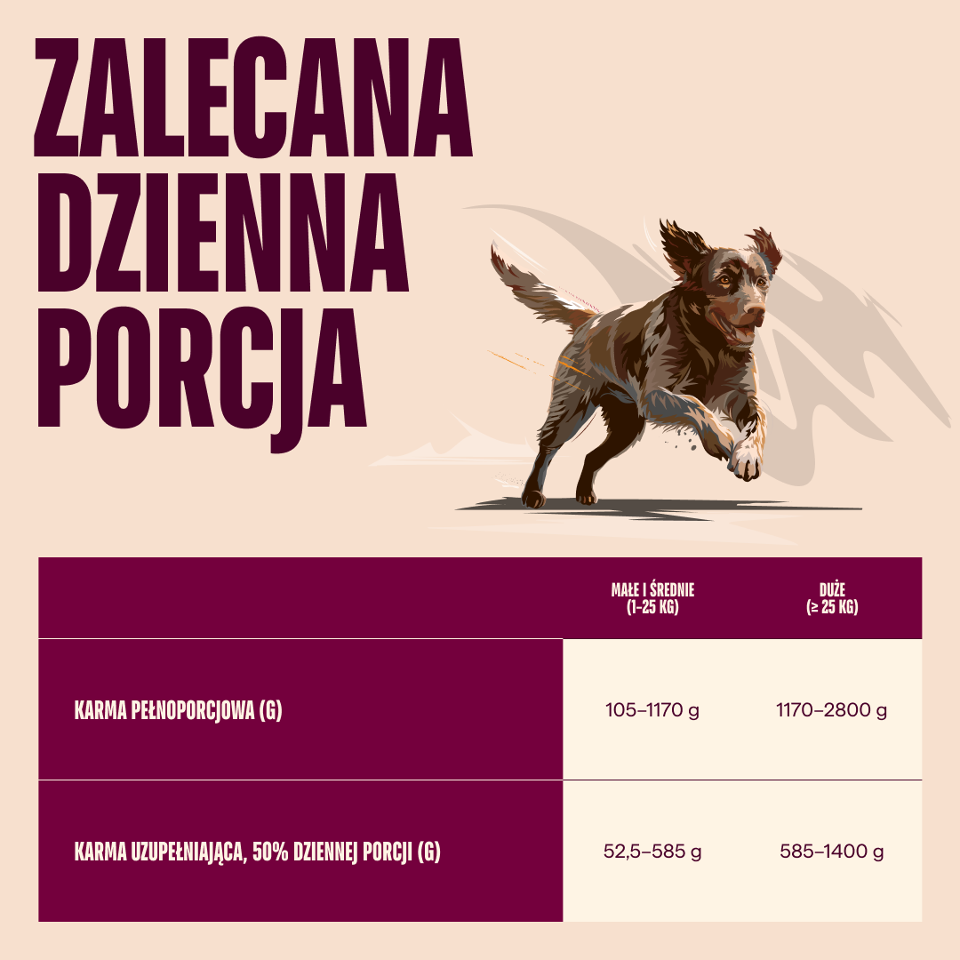 lamb wild boar/104101385 4 EN