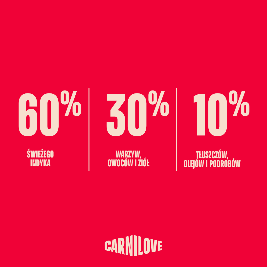 TRUE FRESH Turkey Dry Dog food, karma z indykiem dla dorosłych psów