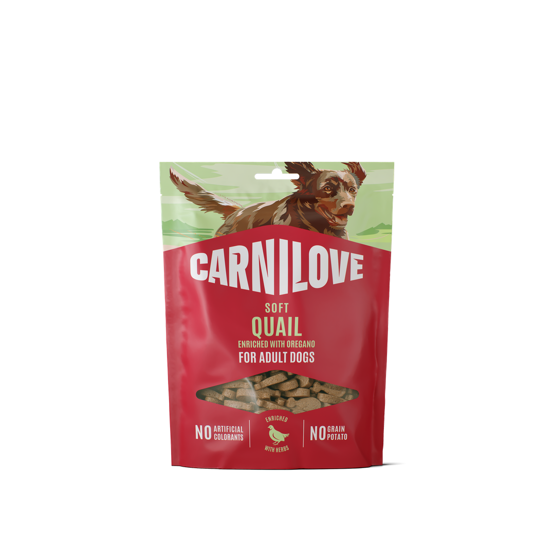 Quail enriched with Oregano SOFT Snack for Dogs 200g