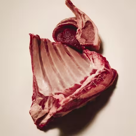 Lamb