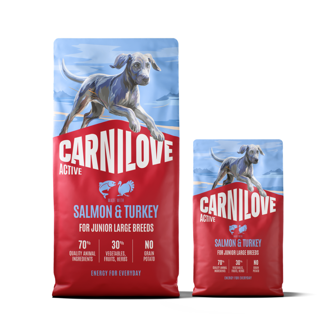 Active Dry Salmon & Turkey XXL for Junior Large Dogs Pack, Pakiet dla Młodych Psów Dużych Ras