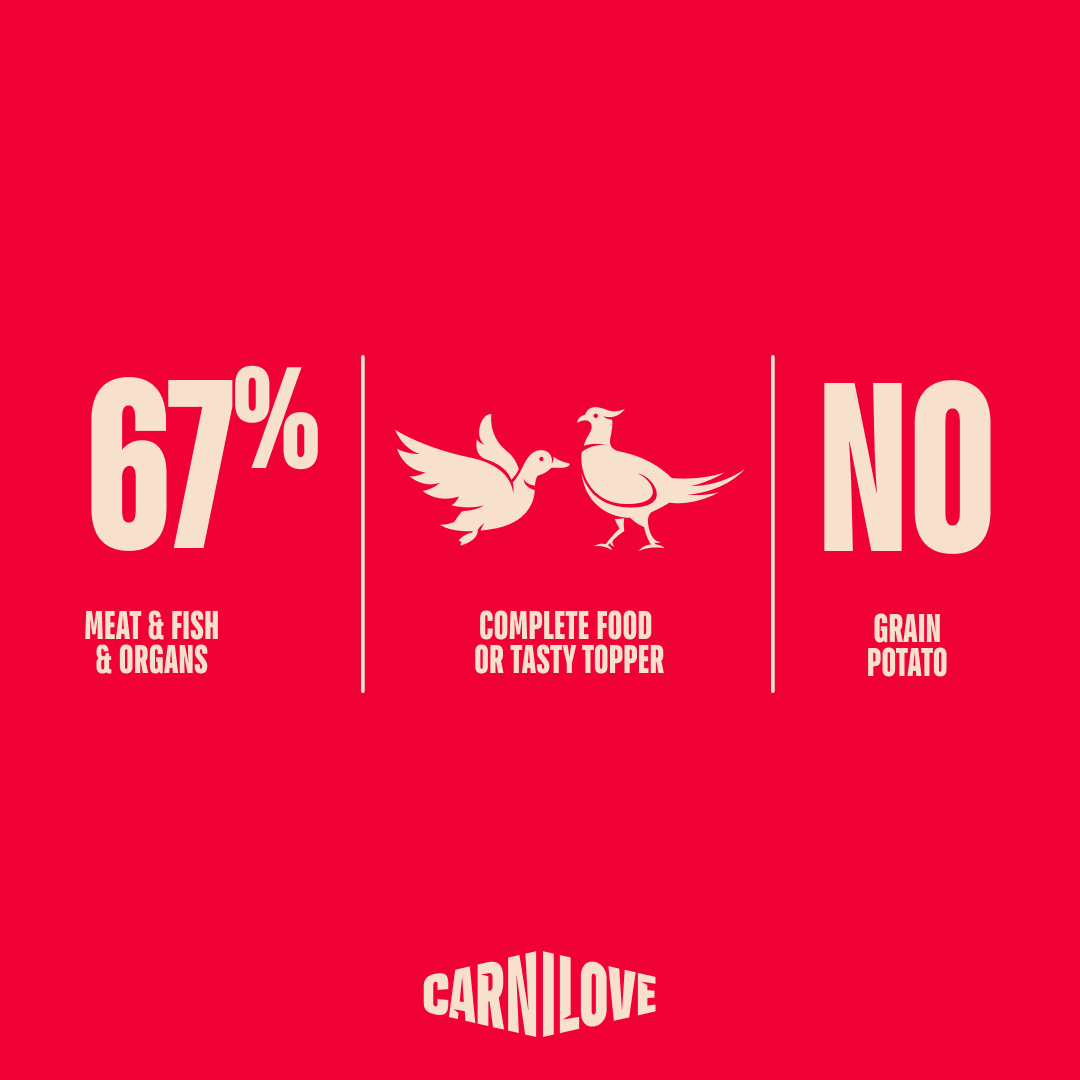 Paté CAN Food Made with Duck & Pheasant for Dogs 400g