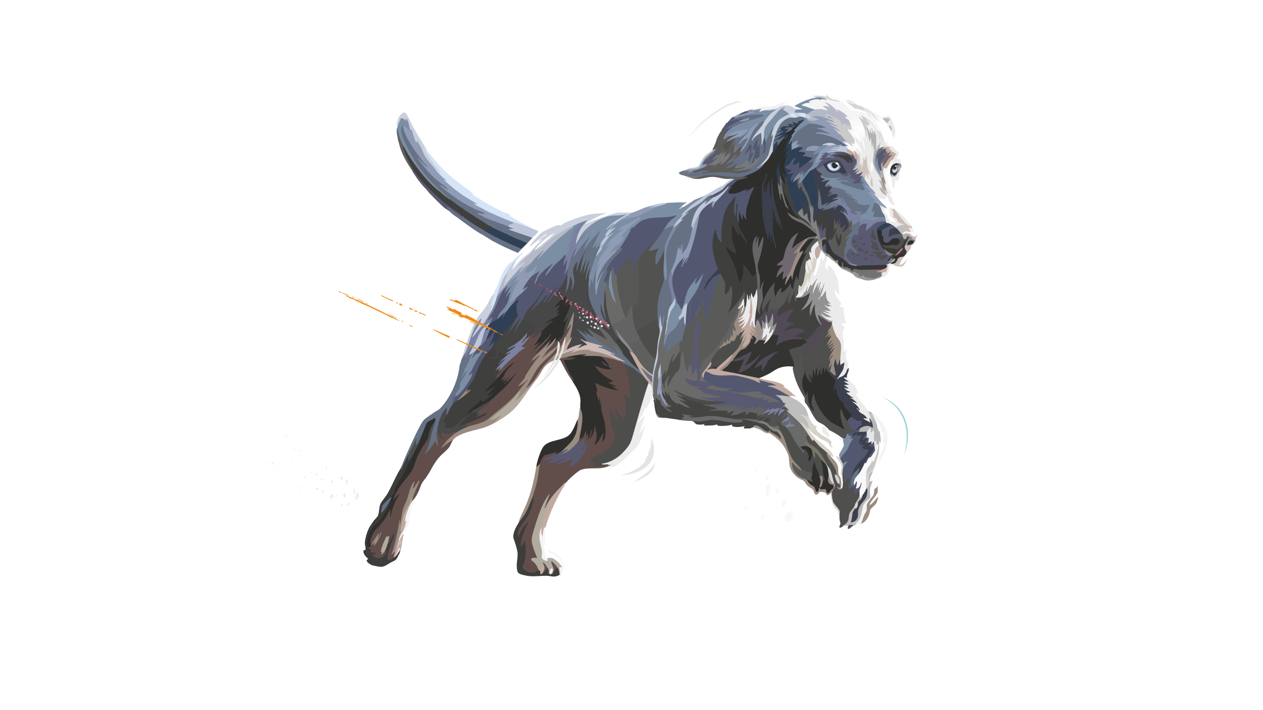 Carnilove-Illustration-Dog-Large-Breed-Active