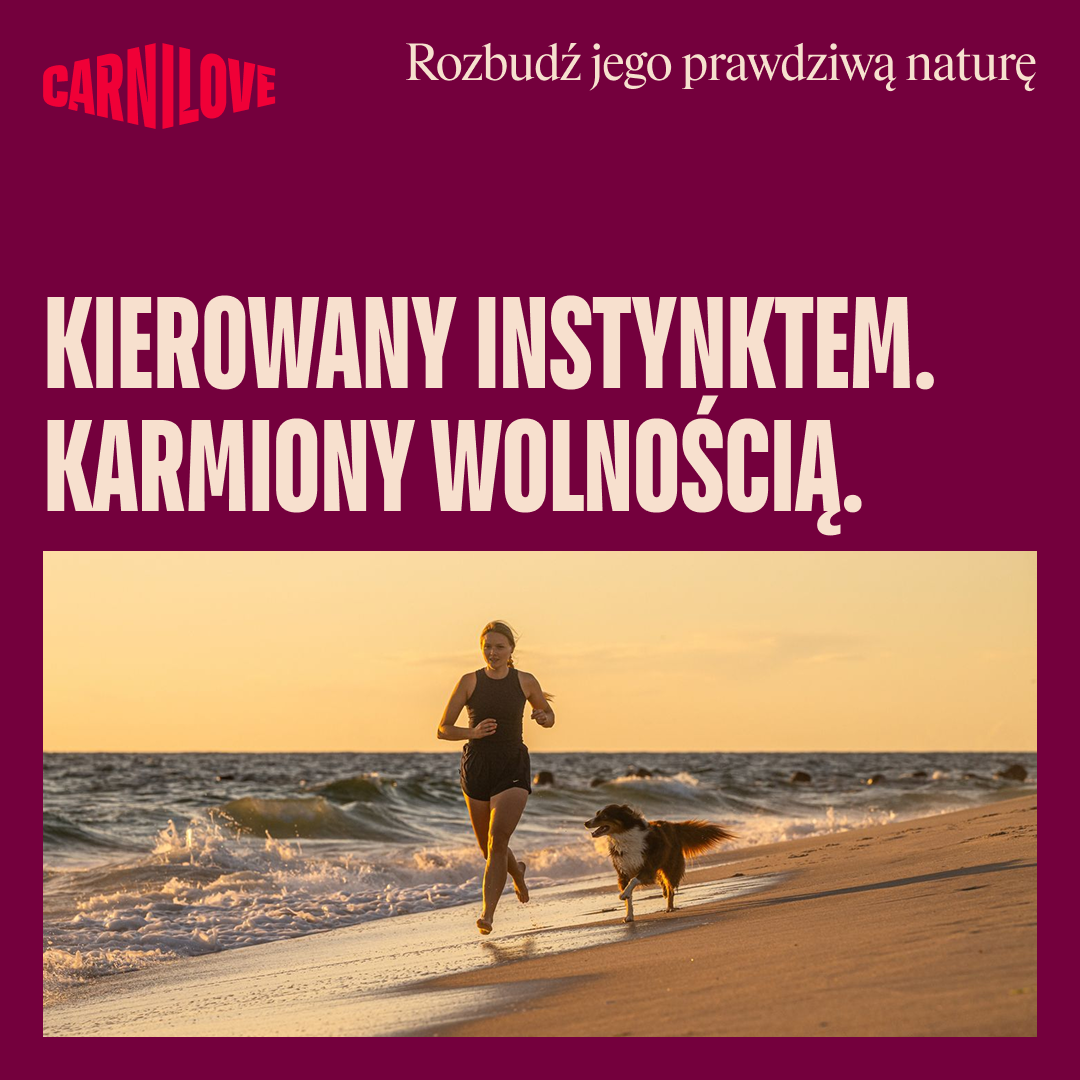 salmon/103100798 6 EN