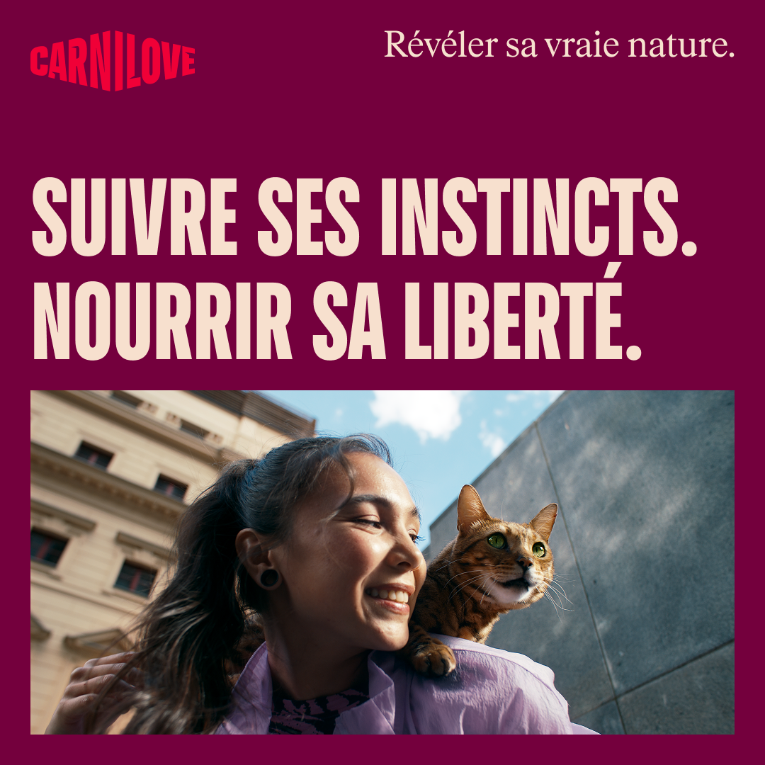 104101380 7 FR