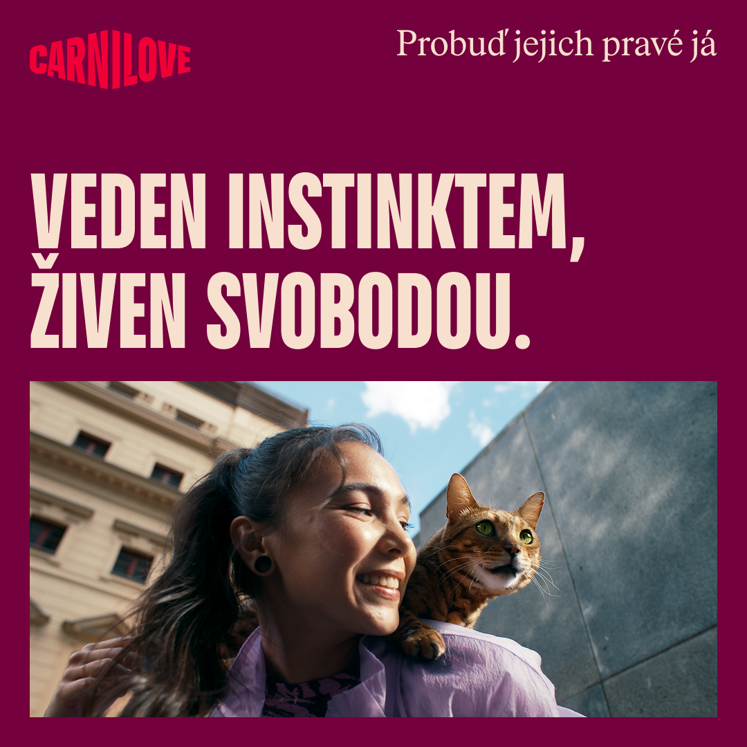 104101391 7 CZ