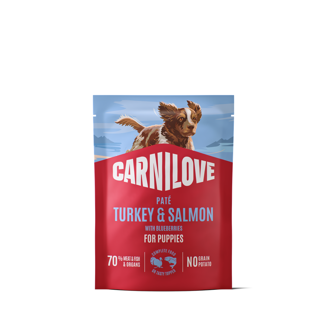 Turkey & Salmon with Blueberries Puppy POUCH Paté 300g