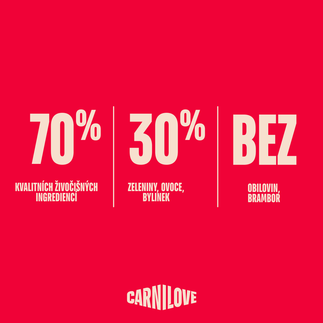 ACTIVE Adult Dog starter pack