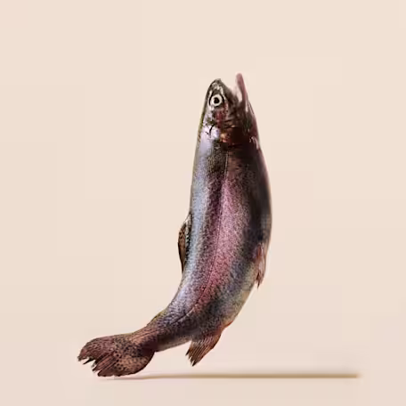 Trout