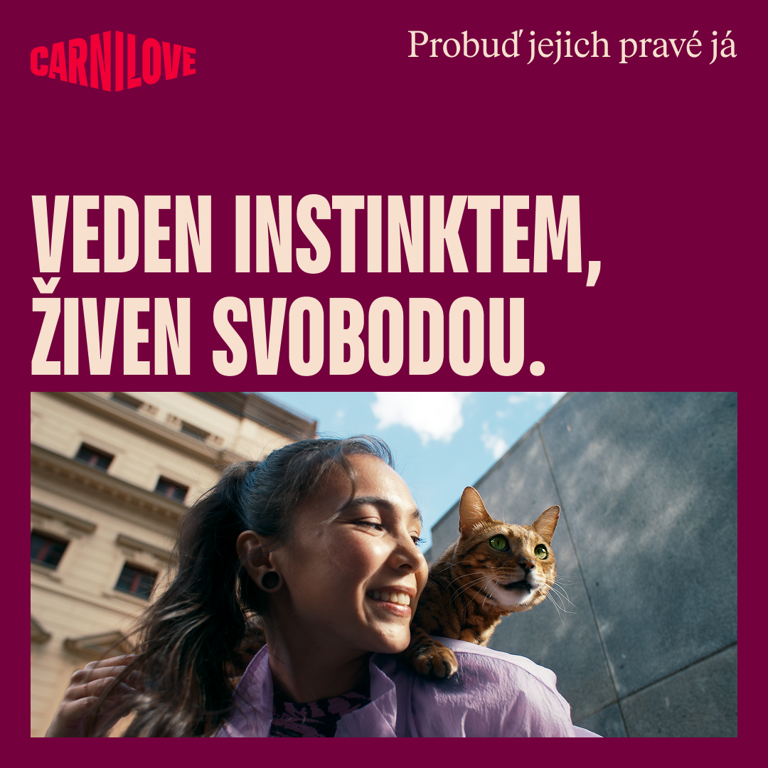 100173720 8 CZ