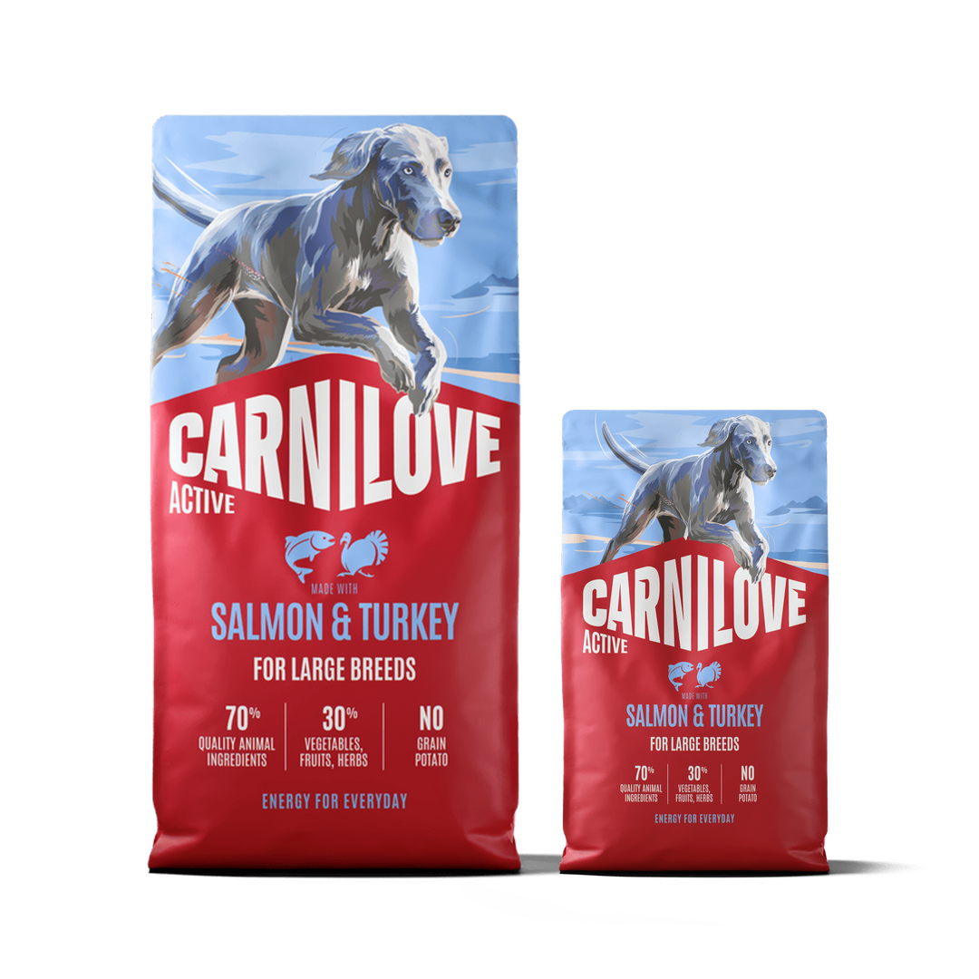 Active Dry Salmon & Turkey XXL for large dogs pack