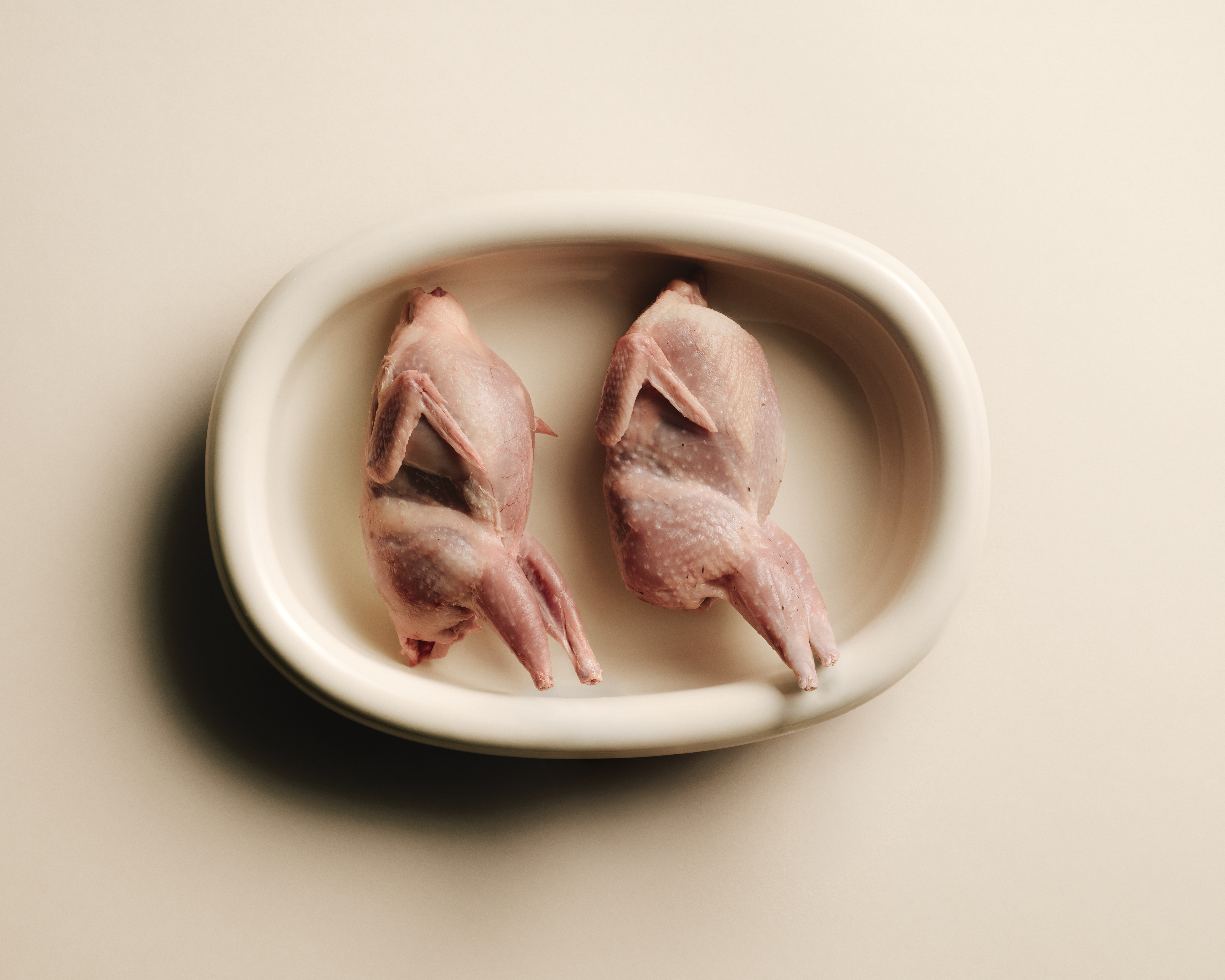 Quail