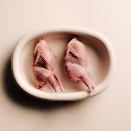 Quail