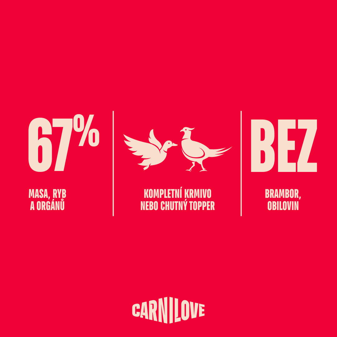 Paté CAN Food Made with Duck & Pheasant for Dogs 400 g