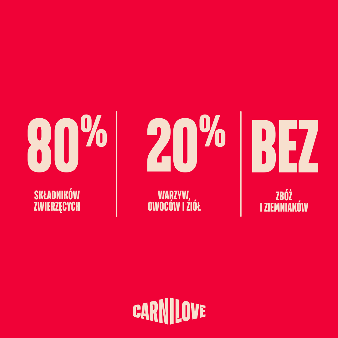 ACTIVE Dry Food Made with Salmon & Turkey for Kittens, karma z łososiem i indykiem dla kociąt