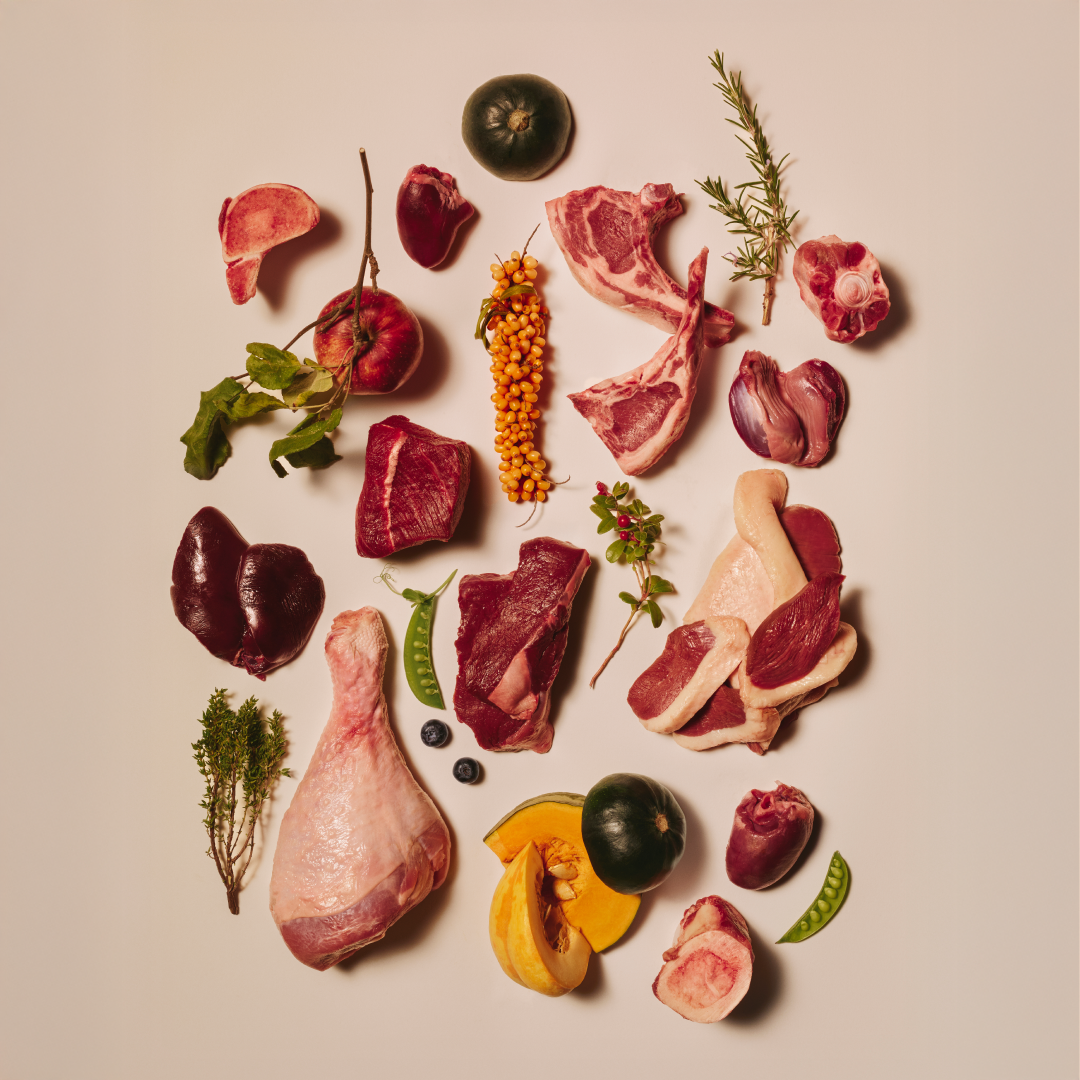 quail/101112419 3 EN