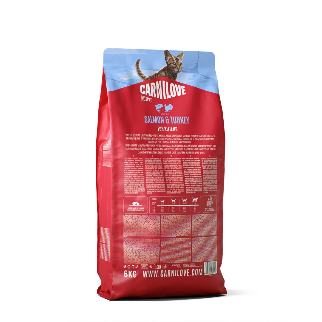 ACTIVE Dry Food Made with Salmon & Turkey for Kittens