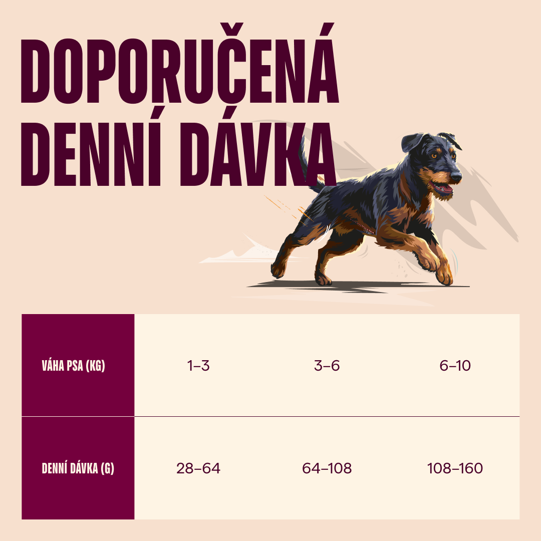 100173693 4 CZ