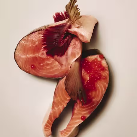 Salmon