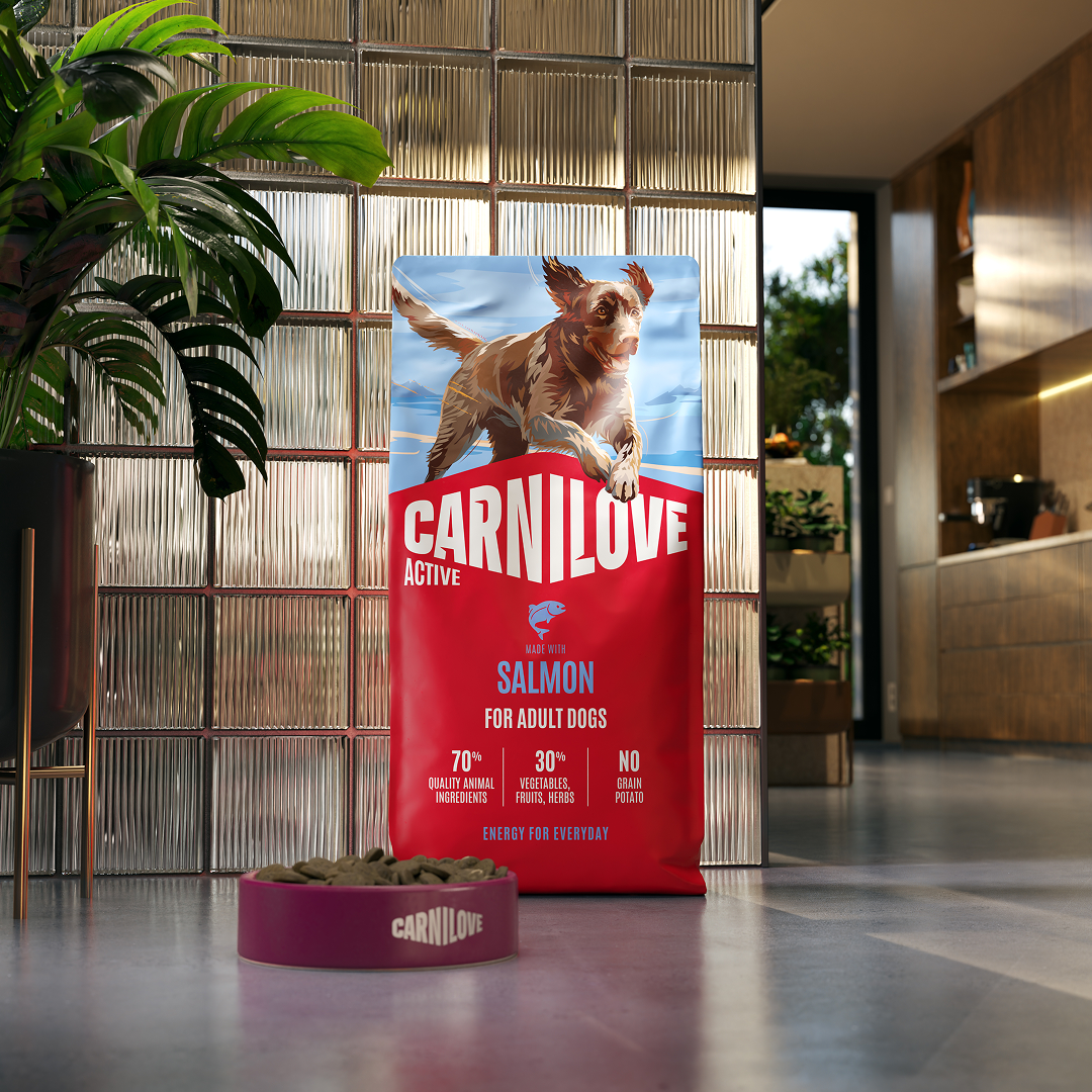 ACTIVE Dry Food Made with Salmon for Adult Dogs
