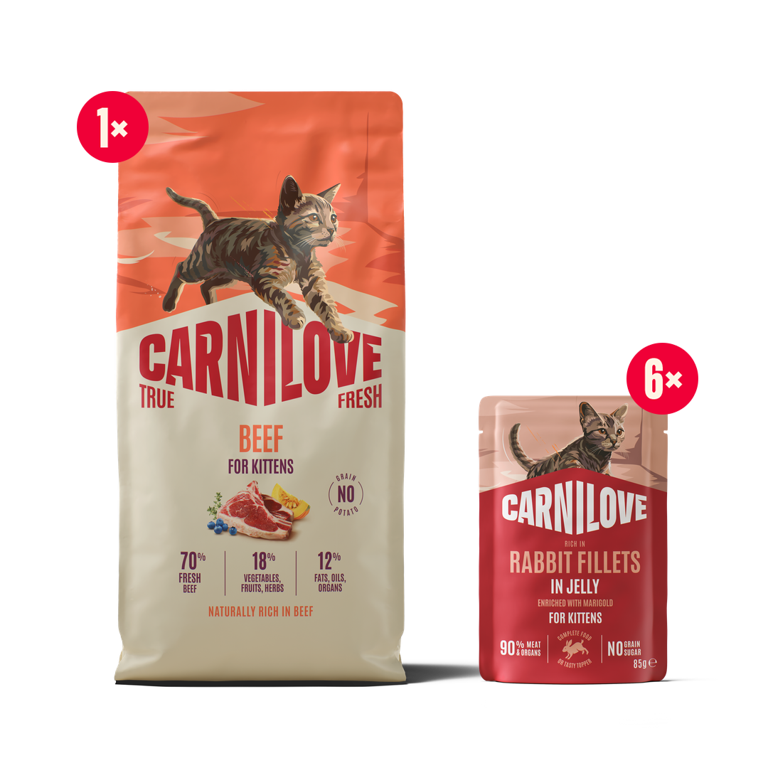 True Fresh Dry Beef for Kittens pack