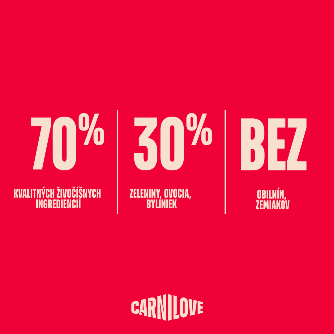 ACTIVE Adult Dog starter pack