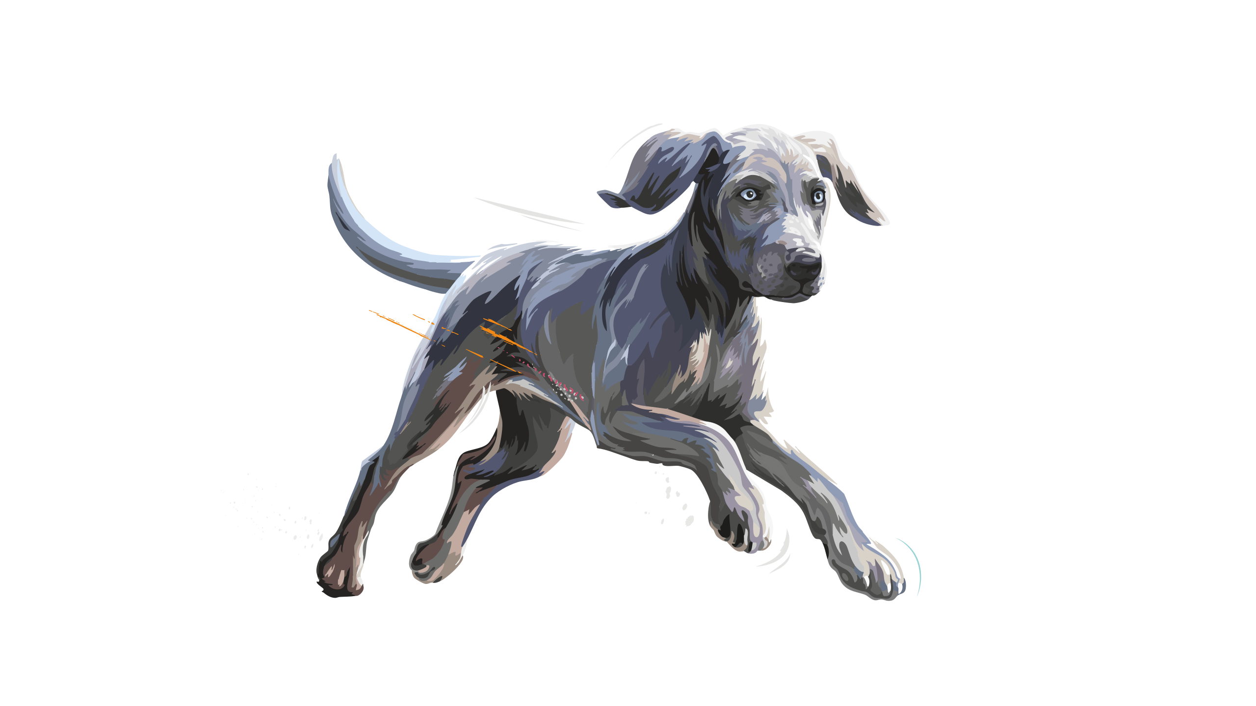 Carnilove-Illustration-Dog-Large-Breed-Junior-Active