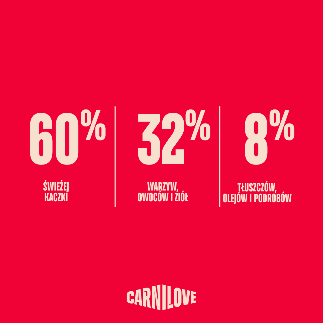 TRUE FRESH Duck Dry food for Junior Large Breeds, karma z kaczką dla młodych psów dużych ras