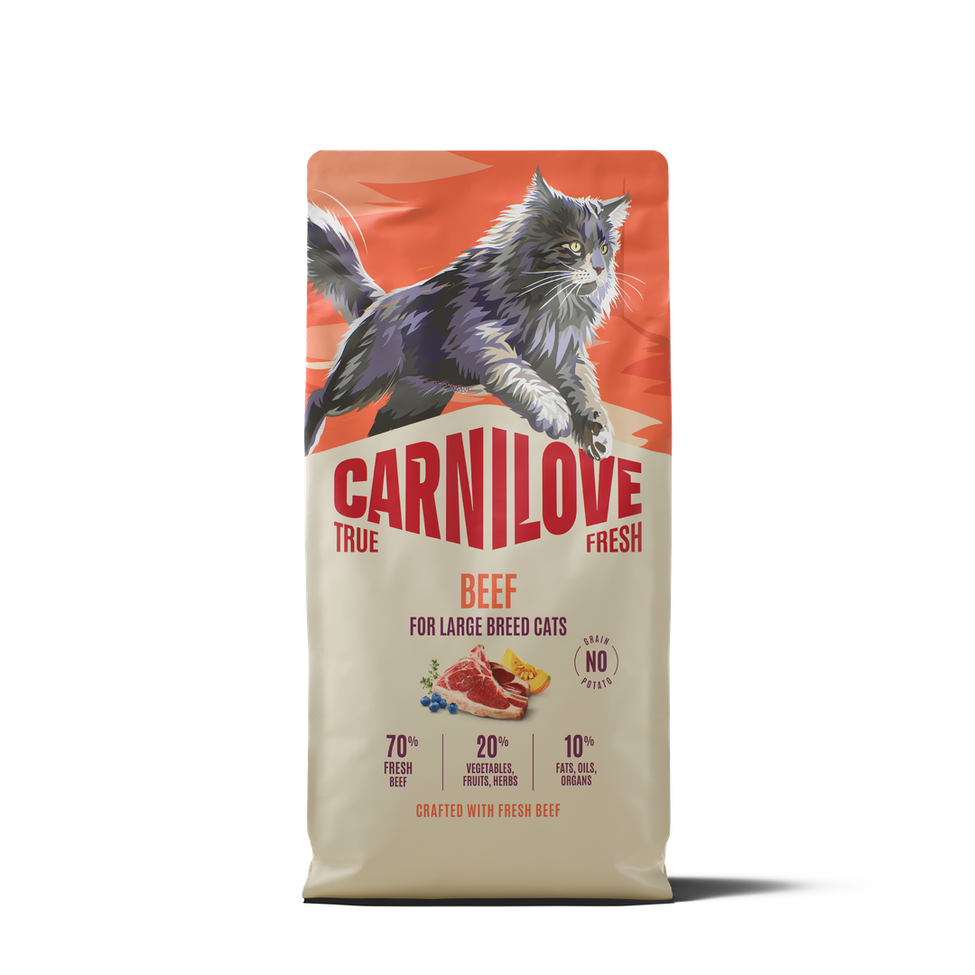 TRUE FRESH Beef Dry food for Adult Cats