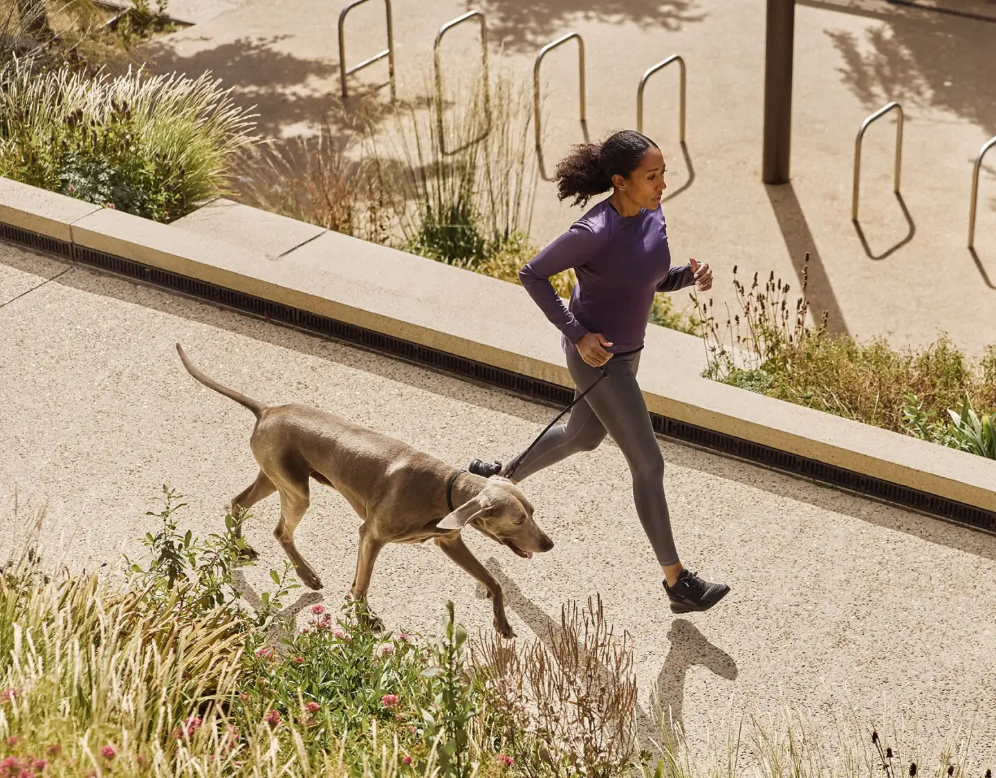 Active lifestyle scene of a woman running with her dog along a sunlit urban path, surrounded by greenery.