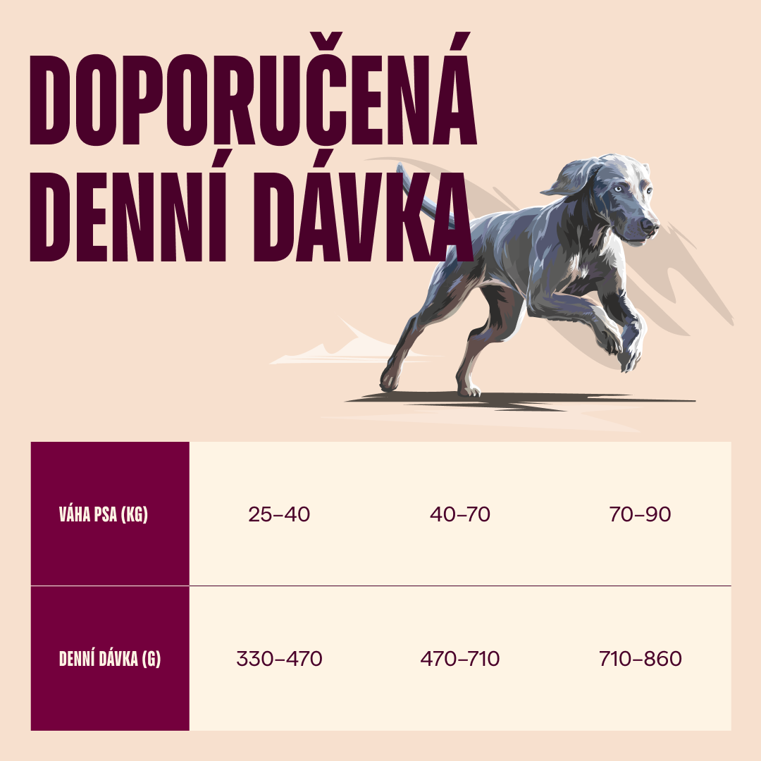 100173696 4 CZ
