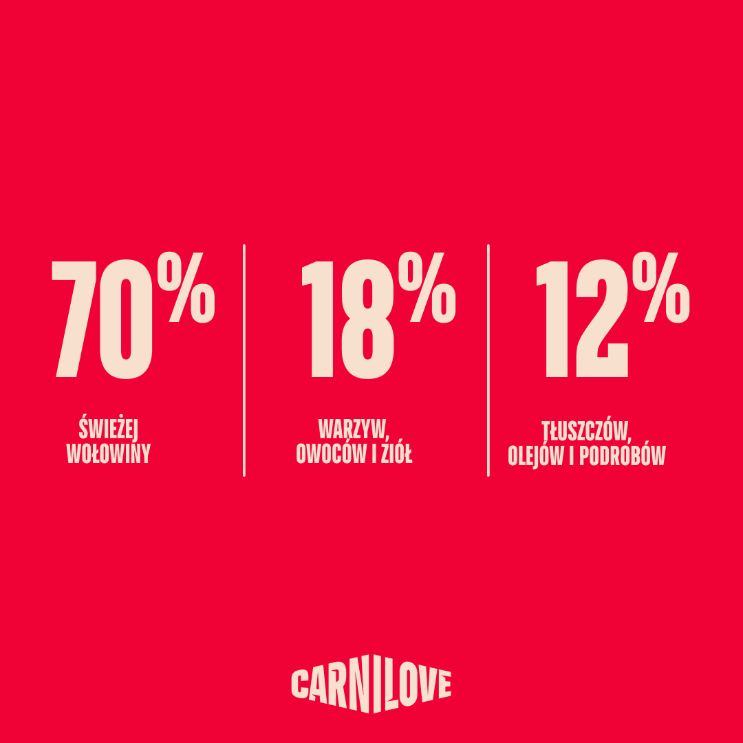 TRUE FRESH Beef Dry food for Kittens, karma z wołowiną dla kociąt